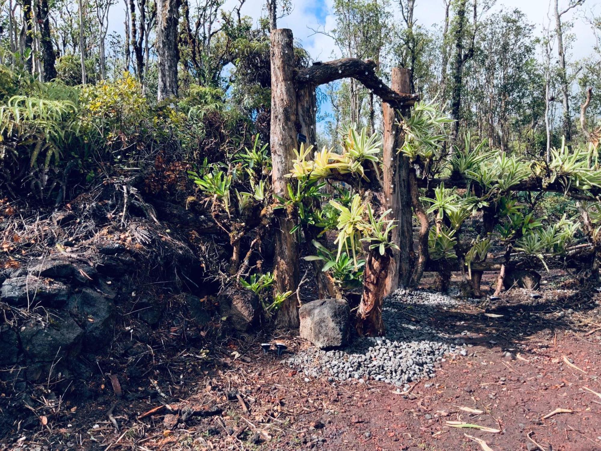 Exotic Garden Cottage At Amazing Volcano Fissure Mountain View Luaran gambar