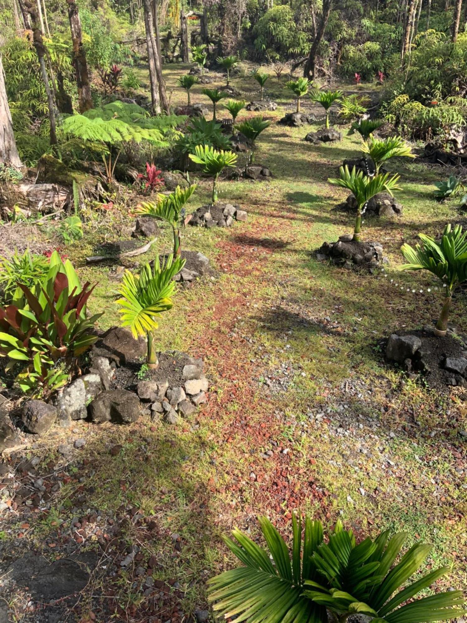 Exotic Garden Cottage At Amazing Volcano Fissure Mountain View Luaran gambar
