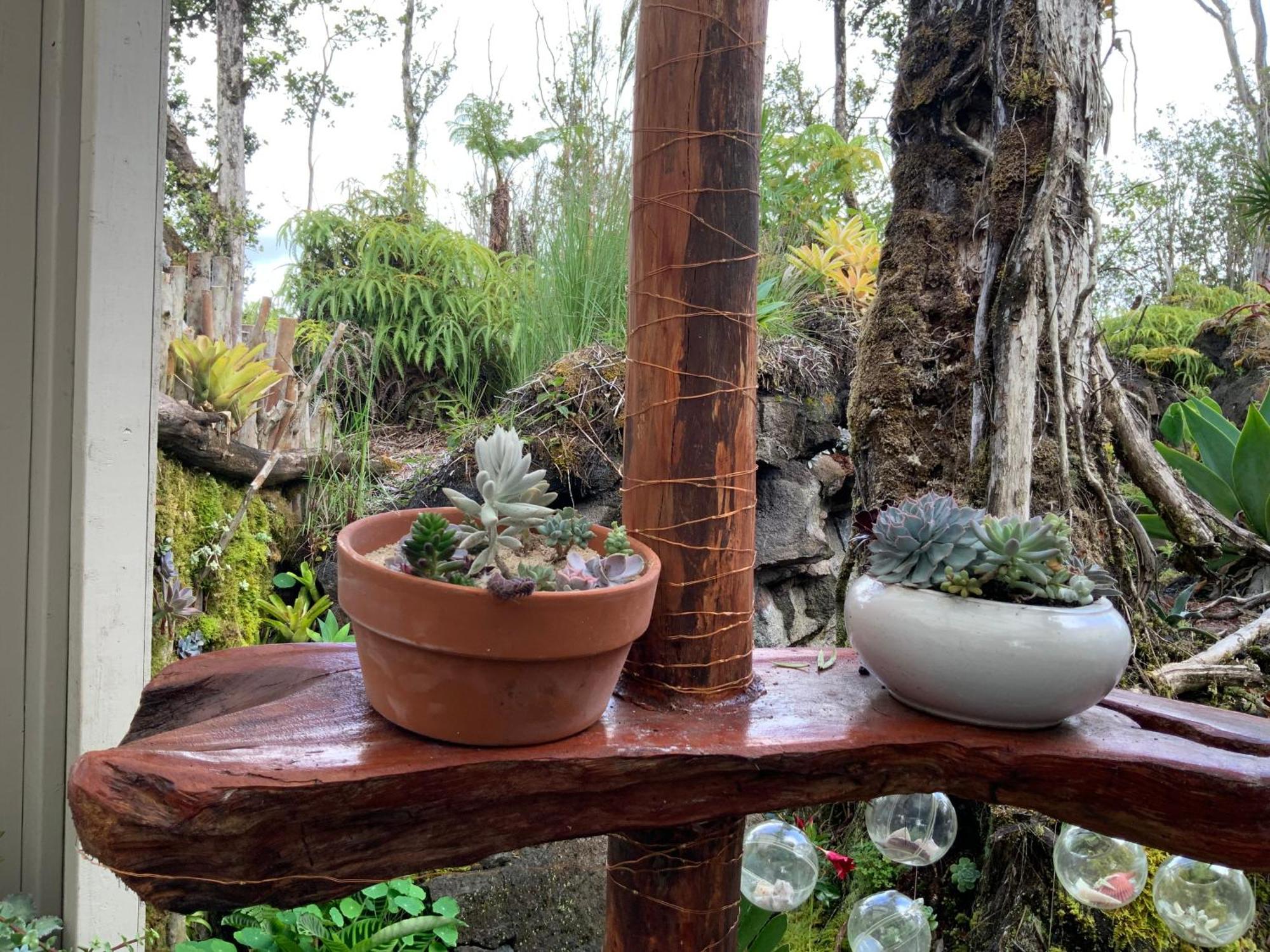 Exotic Garden Cottage At Amazing Volcano Fissure Mountain View Luaran gambar