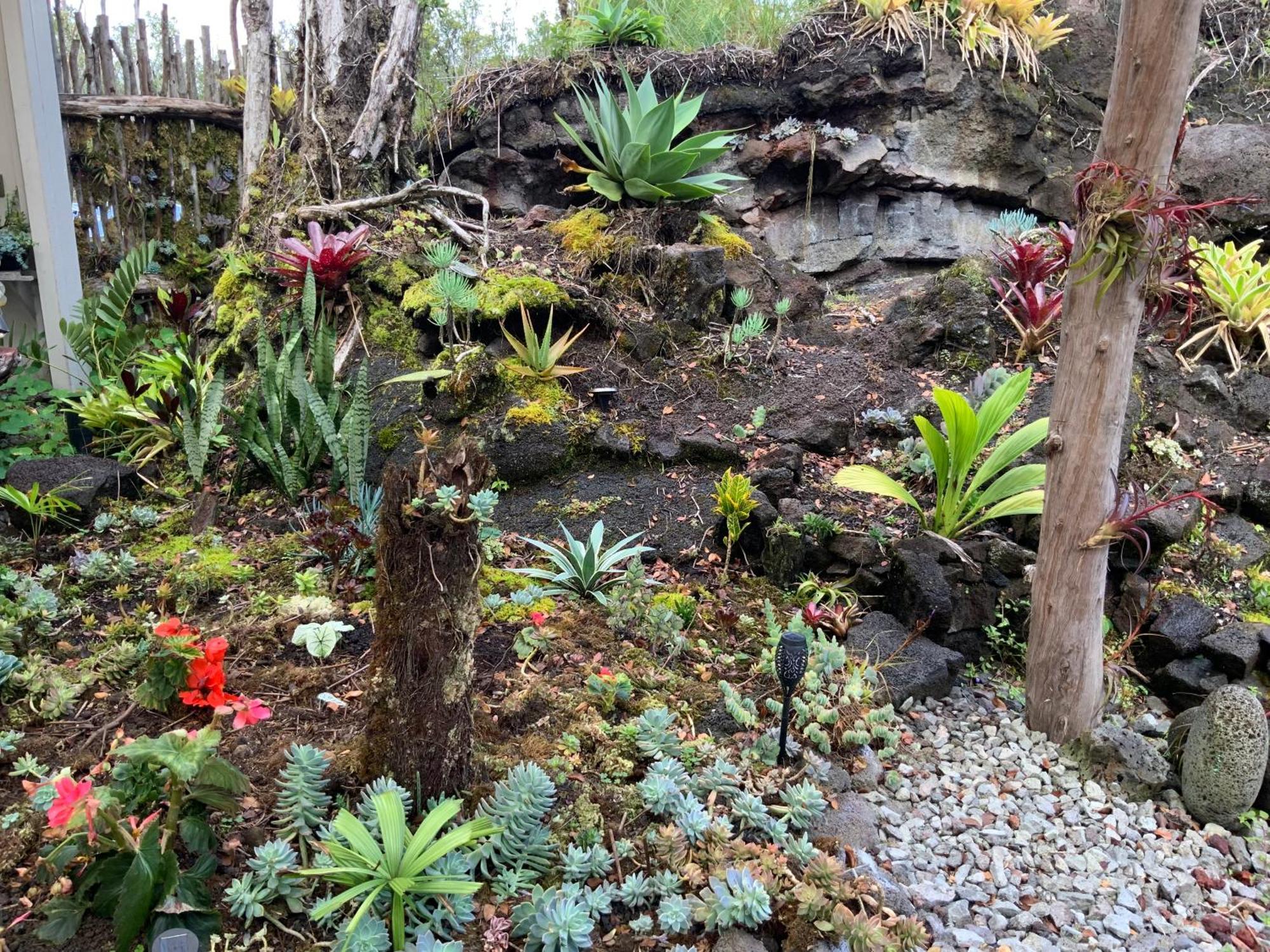 Exotic Garden Cottage At Amazing Volcano Fissure Mountain View Luaran gambar