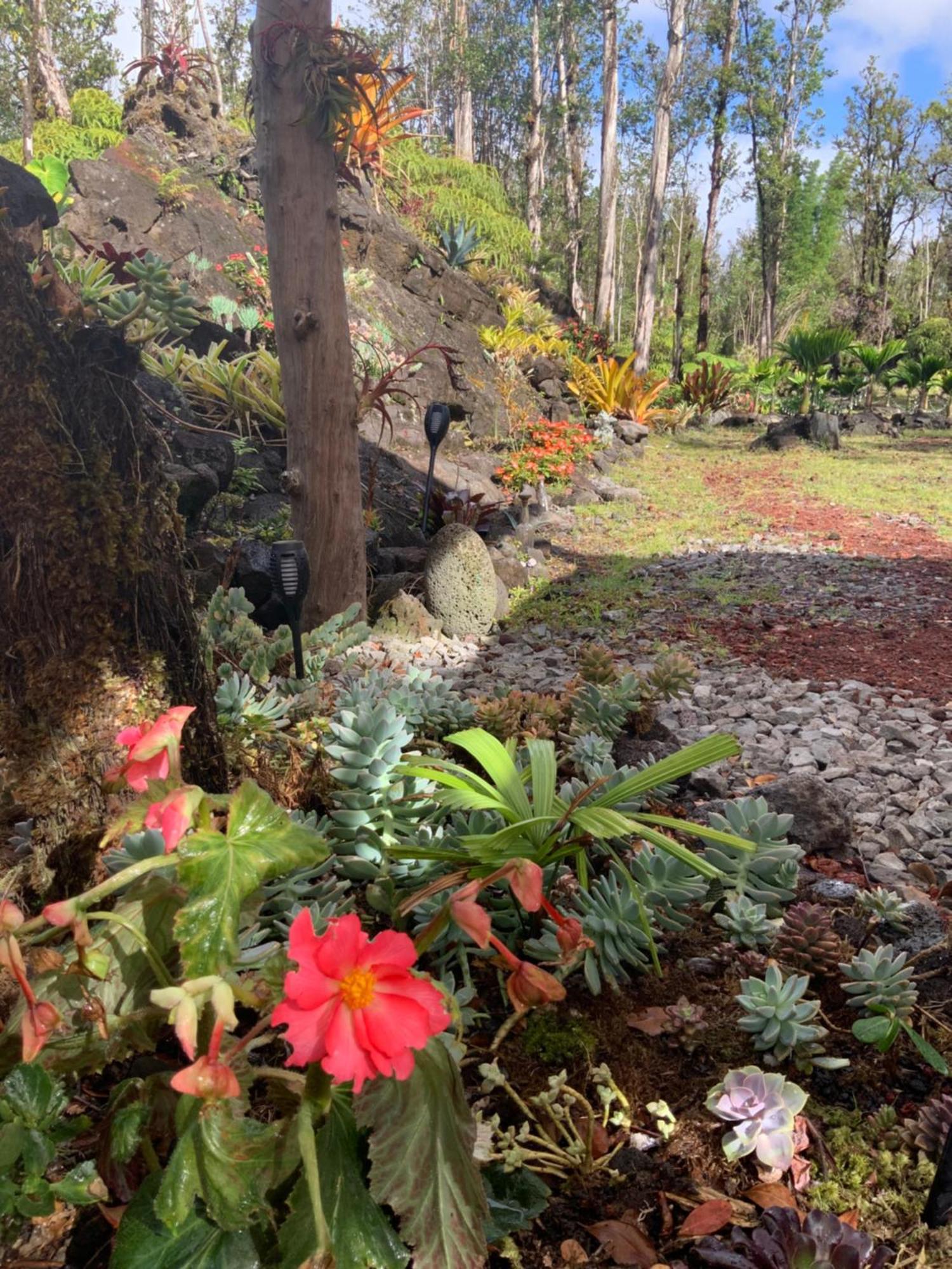 Exotic Garden Cottage At Amazing Volcano Fissure Mountain View Luaran gambar