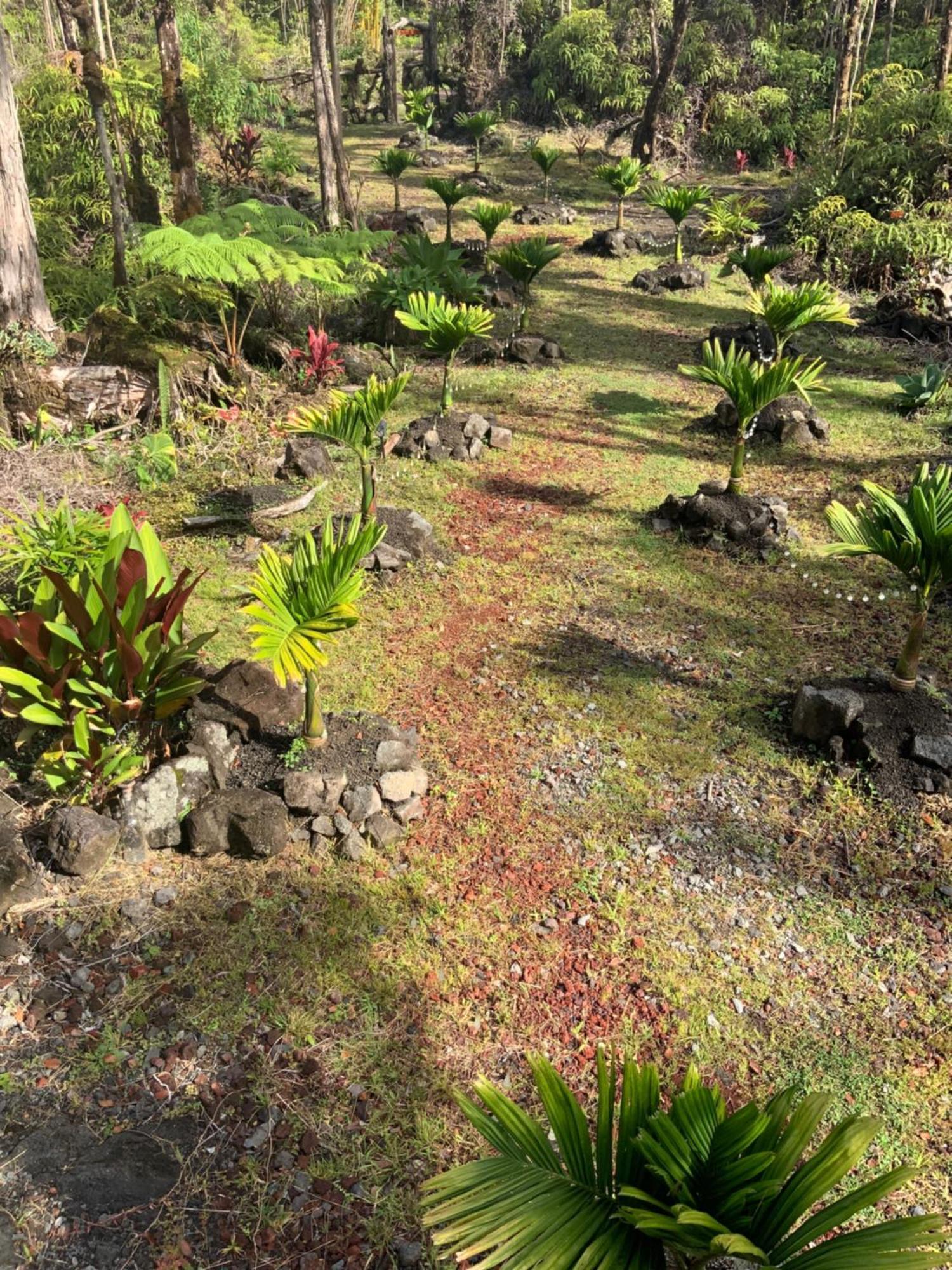 Exotic Garden Cottage At Amazing Volcano Fissure Mountain View Luaran gambar