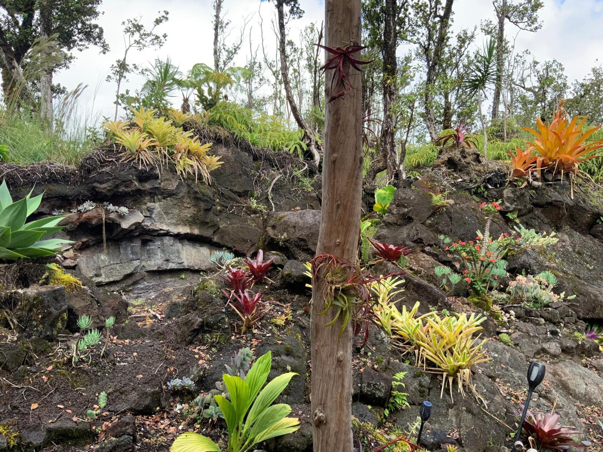Exotic Garden Cottage At Amazing Volcano Fissure Mountain View Luaran gambar