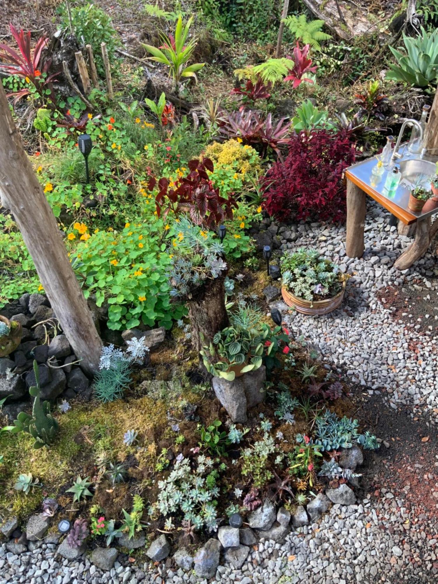 Exotic Garden Cottage At Amazing Volcano Fissure Mountain View Luaran gambar