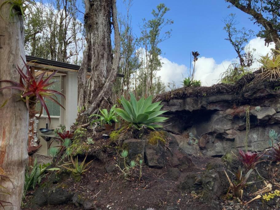 Exotic Garden Cottage At Amazing Volcano Fissure Mountain View Luaran gambar