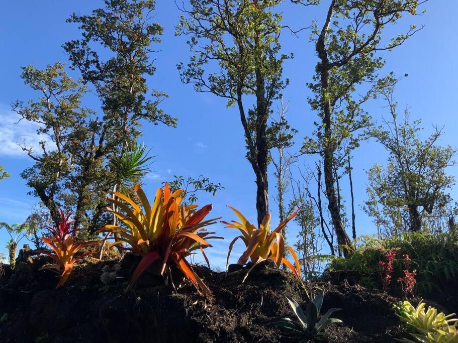 Exotic Garden Cottage At Amazing Volcano Fissure Mountain View Luaran gambar