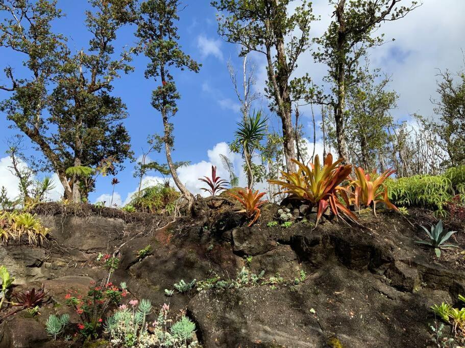 Exotic Garden Cottage At Amazing Volcano Fissure Mountain View Luaran gambar