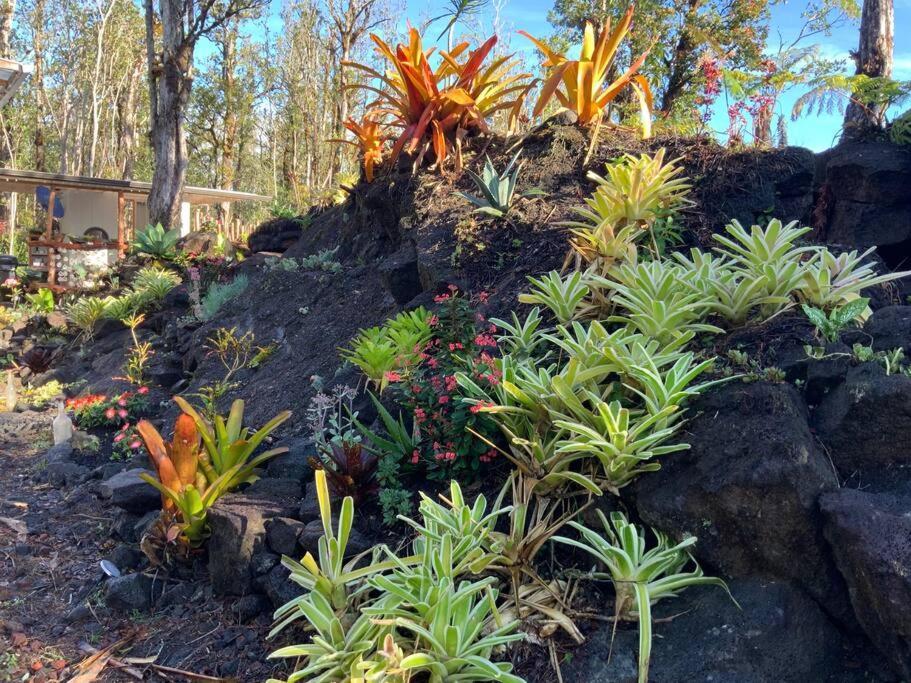 Exotic Garden Cottage At Amazing Volcano Fissure Mountain View Luaran gambar